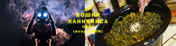 ешки Вяземский