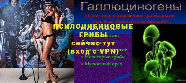 a pvp Армянск