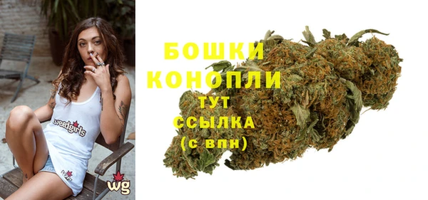 молекула духа Аркадак