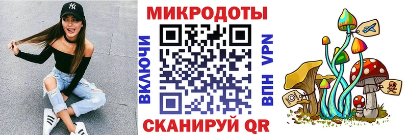 Псилоцибиновые грибы мицелий  дарнет шоп  Советская Гавань 